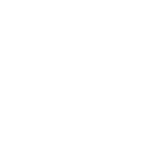 LIDO