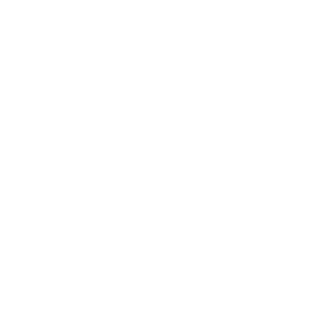 VISA-INF